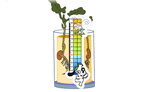 Germinometro