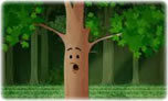 Conociendo el bosque
